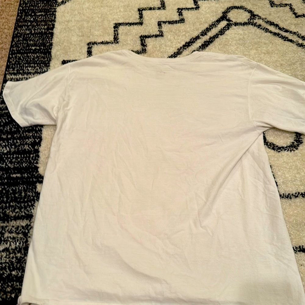 White champion, Blue champion symbol, Champion symbol on sleeve